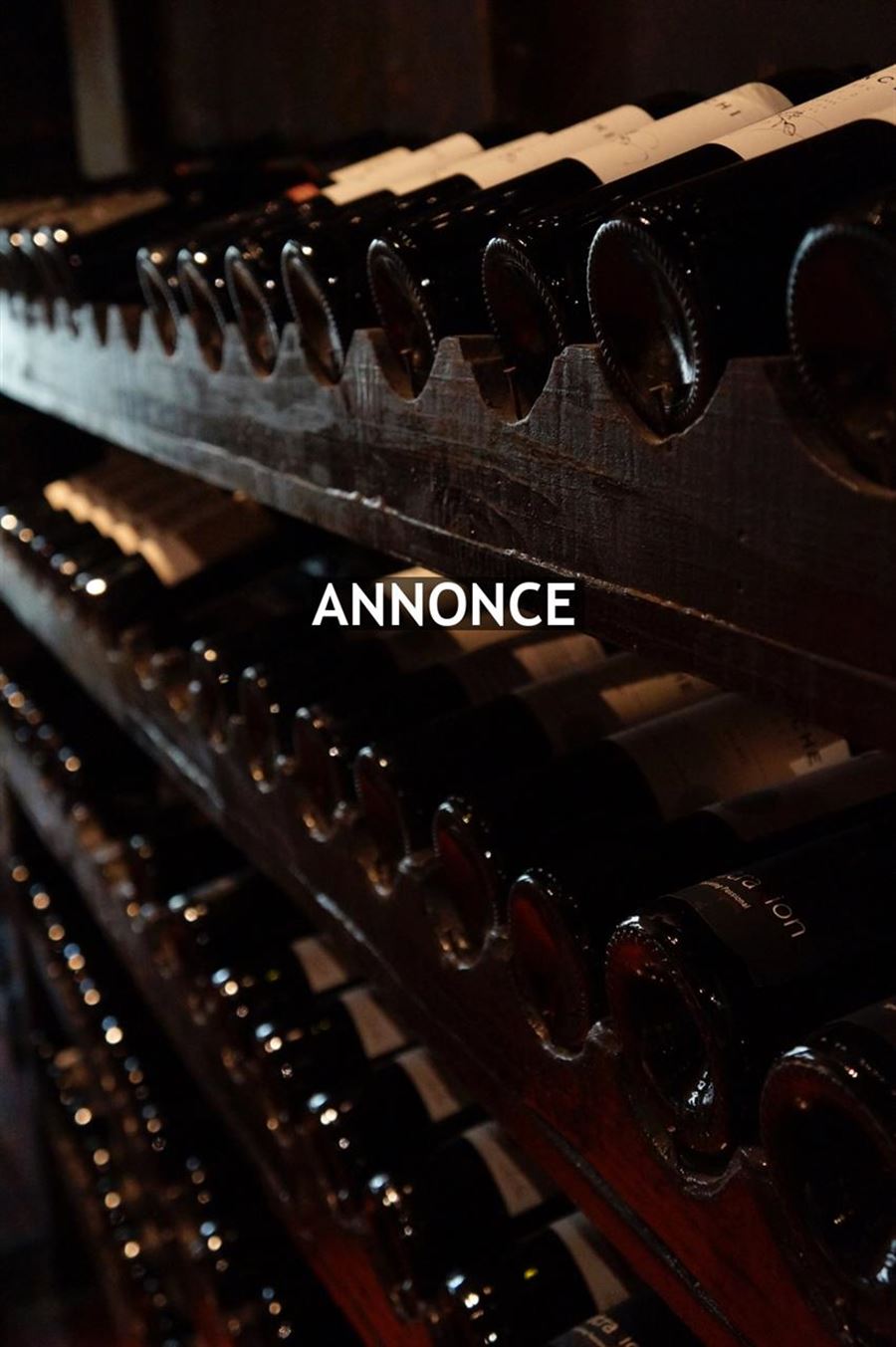 Bliv klog på vintyper