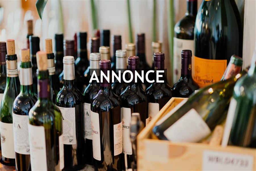 Guiden til dig, der aldrig ved, hvilken vin du skal vælge